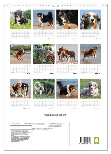 Produktbild: Australian Shepherd (Wandkalender 2027 DIN A3 hoch), CALVENDO Monatskalender