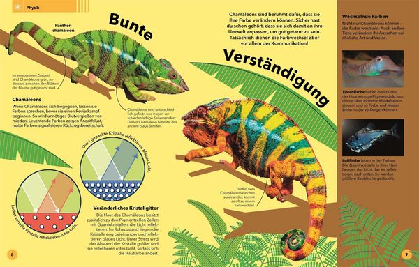 Produktbild: Tierisch clever
