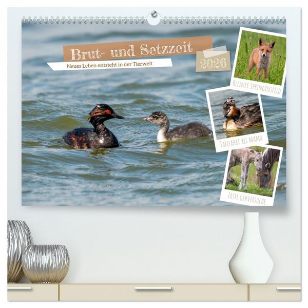 Produktbild: Brut- und Setzzeit. Neues Leben entsteht. (hochwertiger Premium Wandkalender 2026 DIN A2 quer), Kunstdruck in Hochglanz