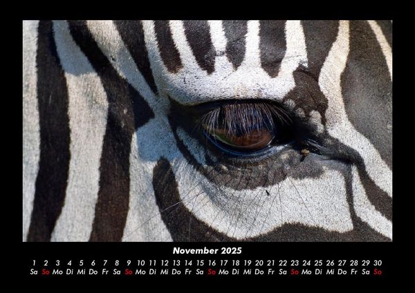Produktbild: Zebrazauber 2025 Fotokalender DIN A3