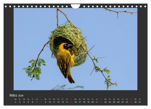 Produktbild: Facetten Namibias (Wandkalender 2026 DIN A4 quer), CALVENDO Monatskalender