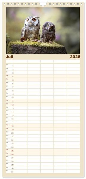 Produktbild: Familienplaner 2026 - Eulen - sch&ouml;n und geheimnisvoll mit 5 Spalten (Wandkalender, 21 x 45 cm) CALVENDO