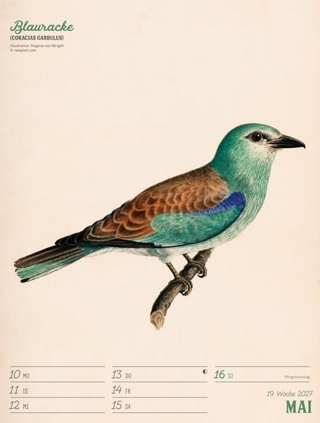 Produktbild: Wunderbare Vogelwelt Wochenplaner Kalender 2027