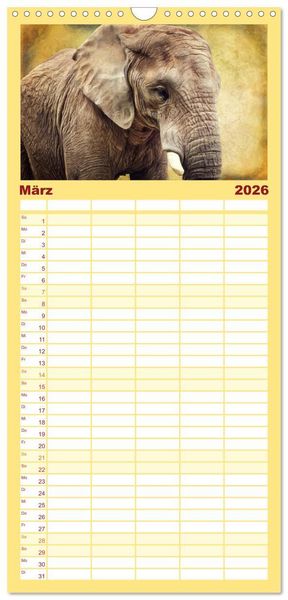 Produktbild: Familienplaner 2026 - Elefanten - Portraits der besonderen Art mit 5 Spalten (Wandkalender, 21 x 45 cm) CALVENDO