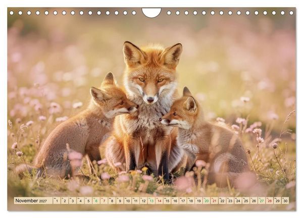Produktbild: F&uuml;chse in Pastellfarben (Wandkalender 2027 DIN A4 quer), CALVENDO Monatskalender