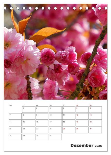 Produktbild: BL&Uuml;TENZAUBER (Tischkalender 2026 DIN A5 hoch), CALVENDO Monatskalender