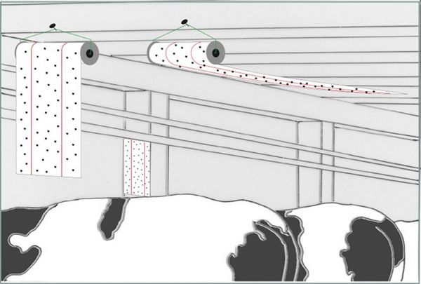 Produktbild: Redtop Fliegenrolle 31006 Fliegenfalle Klebefolie, Lockstoff (L x B) 9 m x 0.3 m Gelb 1 St.