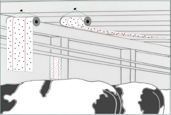 Produktbild: Redtop Fliegenrolle 31006 Fliegenfalle Klebefolie, Lockstoff (L x B) 9m x 0.3m Gelb 1St.