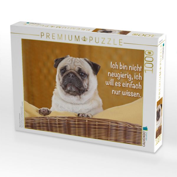 Produktbild: CALVENDO Puzzle Mops schaut aufmerksam | 1000 Teile Lege-Gr&ouml;&szlig;e 64x48cm Foto-Puzzle f&uuml;r gl&uuml;ckliche Stunden