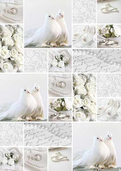 Produktbild: URSUS Starlight "Hochzeit", wei&szlig;/silber