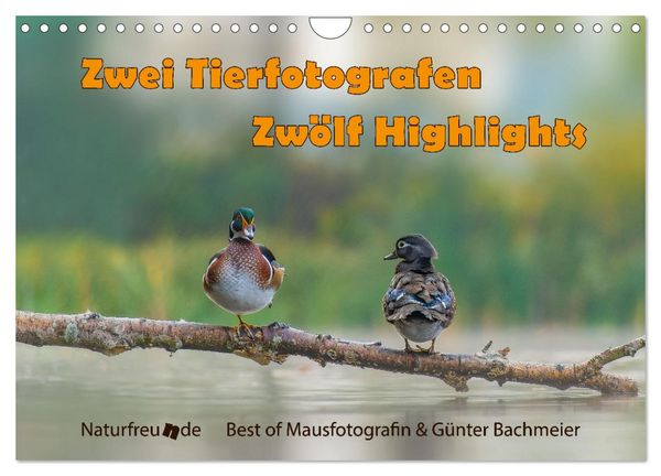 Zwei Tierfotografen Zwölf Highlights (Wandkalender 2026 DIN A4 quer), CALVENDO Monatskalender