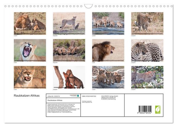 Produktbild: Raubkatzen Afrikas (Wandkalender 2026 DIN A3 quer), CALVENDO Monatskalender