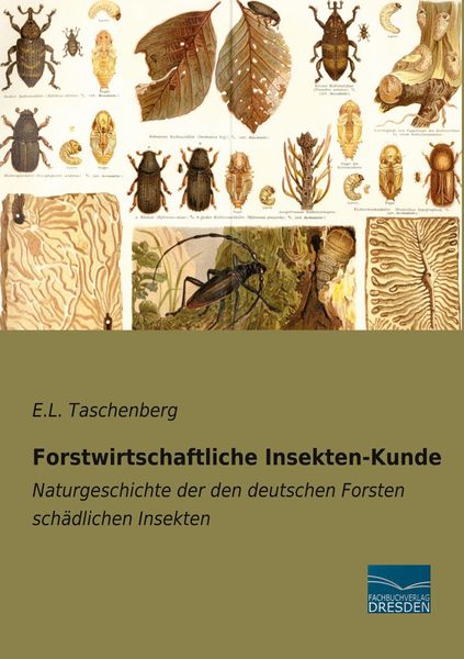 Produktbild: Forstwirtschaftliche Insekten-Kunde