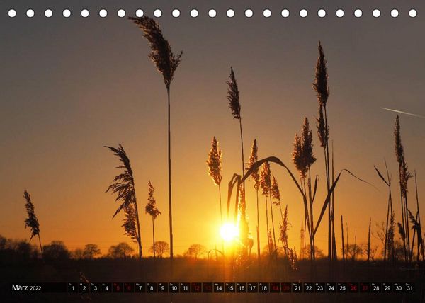 Produktbild: Neustadt am R&uuml;benberge Natur in Stadtn&auml;he (Tischkalender 2022 DIN A5 quer)