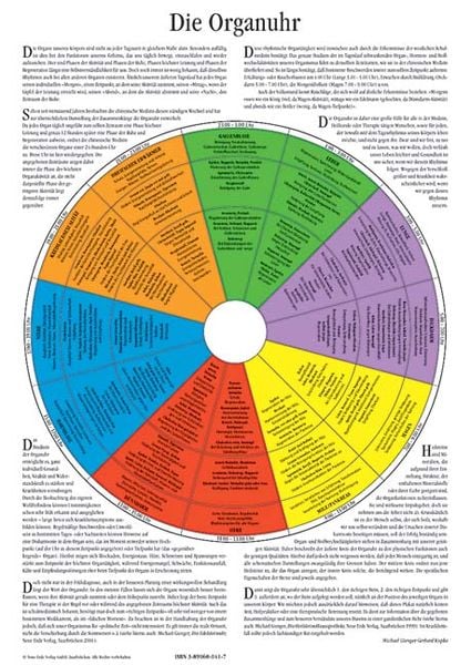 Die Organuhr, von Michael Gienger , Gerhard Kupka, Neue Erde, 9783890600413