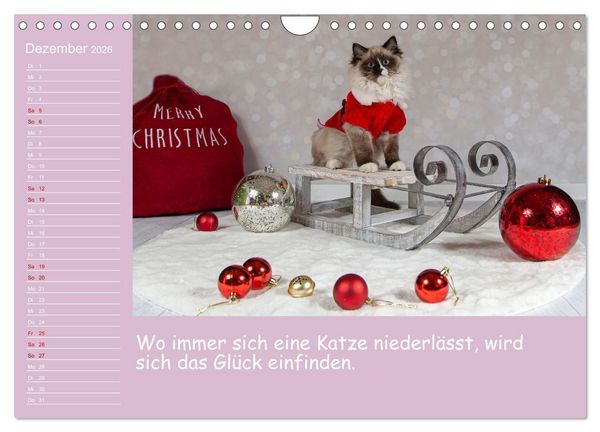 Produktbild: Drollige Tierkinder Mit Spr&uuml;chen (Wandkalender 2026 DIN A4 quer), CALVENDO Monatskalender