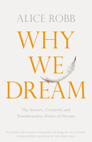 Produktbild: Why We Dream