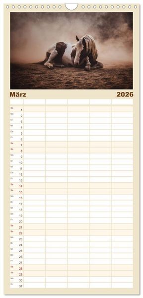 Produktbild: Familienplaner 2026 - Spiegel deiner Seele mit 5 Spalten (Wandkalender, 21 x 45 cm) CALVENDO
