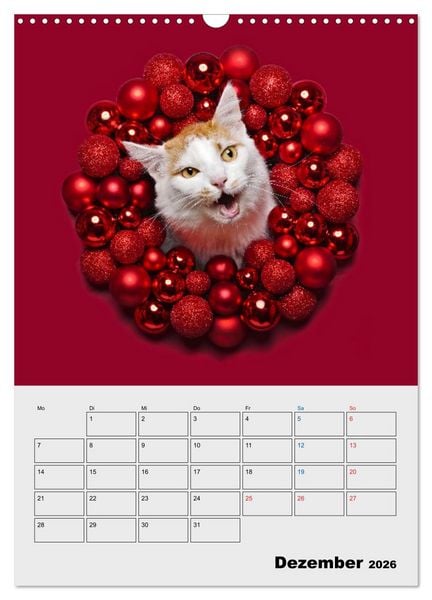 Produktbild: Crazy Catz. (Wandkalender 2026 DIN A3 hoch), CALVENDO Monatskalender