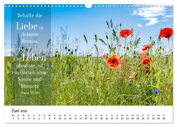Produktbild: Lebensweisheiten, motivierende Spr&uuml;che und kluge Zitate mit Bildern der Natur (Wandkalender 2026 DIN A3 quer), CALVENDO Monatskalender