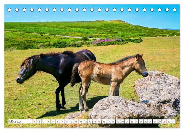 Produktbild: S&uuml;dengland - On the road in Devon und Cornwall (Tischkalender 2026 DIN A5 quer), CALVENDO Monatskalender