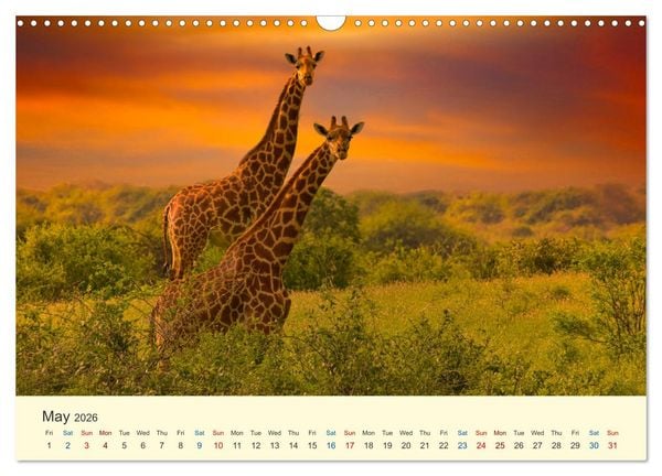 Produktbild: Wonderful Kenya (Wall Calendar 2026 DIN A3 landscape), CALVENDO 12 Month Wall Calendar