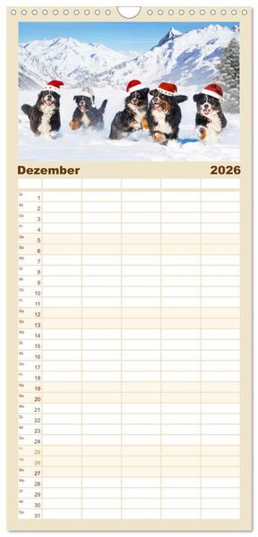 Produktbild: Familienplaner 2026 - Berner Sennenhund - Ein Freund auf vier Pfoten mit 5 Spalten (Wandkalender, 21 x 45 cm) CALVENDO