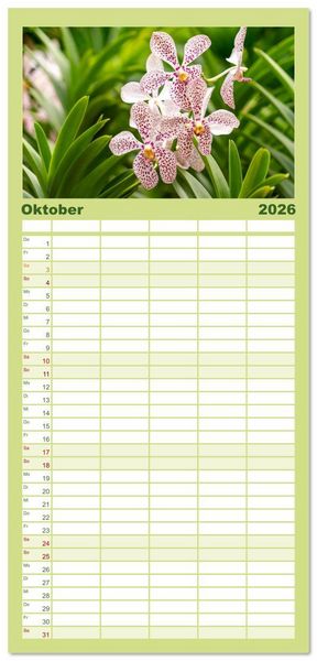 Produktbild: Familienplaner 2026 - Orchidaceae - Orchideen mit 5 Spalten (Wandkalender, 21 x 45 cm) CALVENDO