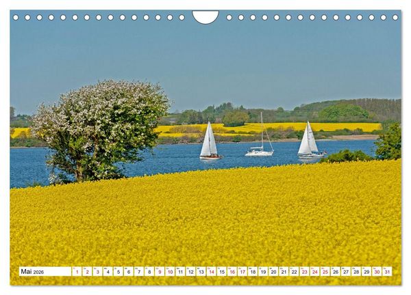 Produktbild: Angeln - Landschaft zwischen Schlei und Flensburger F&ouml;rde (Wandkalender 2026 DIN A4 quer), CALVENDO Monatskalender