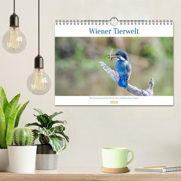 Produktbild: Wiener Tierwelt (Wandkalender 2026 DIN A4 quer), CALVENDO Monatskalender