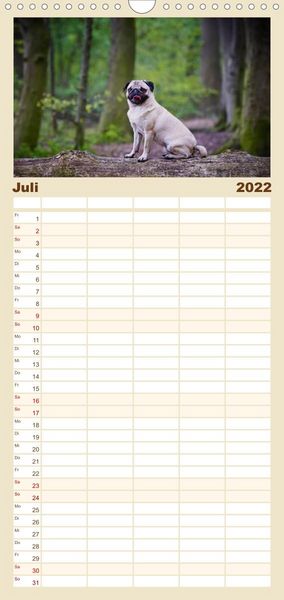 Produktbild: Mops - Familienplaner hoch (Wandkalender 2022 , 21 cm x 45 cm, hoch)