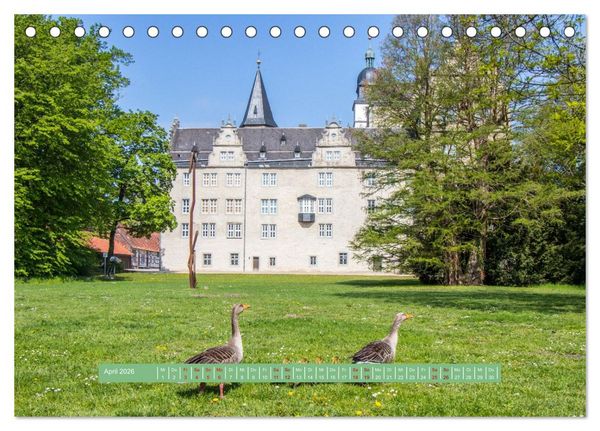 Produktbild: Wolfsburg - einfach tierisch (Tischkalender 2026 DIN A5 quer), CALVENDO Monatskalender