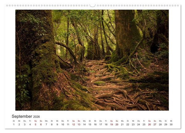 Produktbild: Yakushima - Japans Weltnaturerbe (Wandkalender 2026 DIN A2 quer), CALVENDO Monatskalender