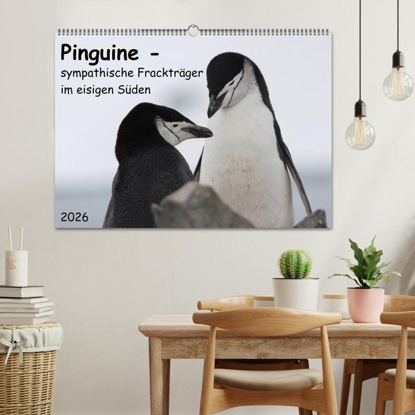 Produktbild: Pinguine - sympathische Fracktr&auml;ger im eisigen S&uuml;den (Wandkalender 2026 DIN A2 quer), CALVENDO Monatskalender