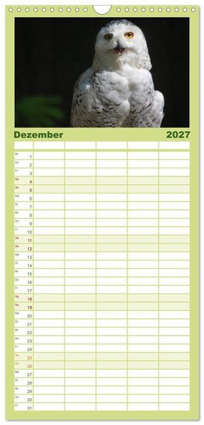 Produktbild: Familienplaner 2027 - Eulen mit 5 Spalten (Wandkalender, 21 x 45 cm) CALVENDO