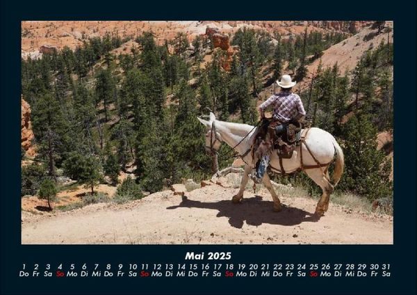 Produktbild: Die Welt der Pferde 2025 Fotokalender DIN A4