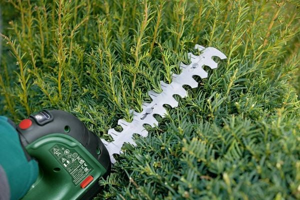Produktbild: Bosch Home and Garden 0600857001 AdvancedShear 18-10 Solo Akku Grasschere, Strauchschere ohne Akku, ohne Ladeger&auml;t 18 V Li-Ion