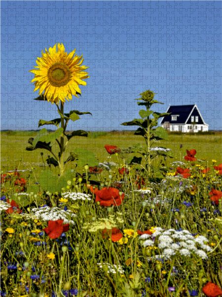 Produktbild: CALVENDO Puzzle Ein Sommertag - Den Burg | 1000 Teile Lege-Gr&ouml;&szlig;e 64x48cm Foto-Puzzle f&uuml;r gl&uuml;ckliche Stunden