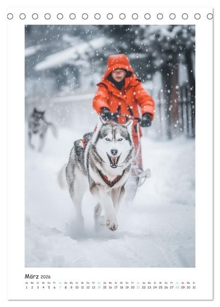 Produktbild: Schlittenhunderennen (Tischkalender 2026 DIN A5 hoch), CALVENDO Monatskalender