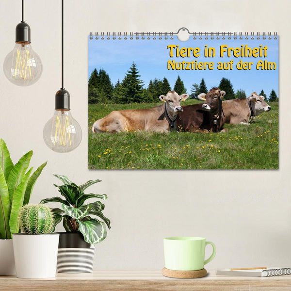 Produktbild: Tiere in Freiheit - Nutztiere auf der Alm (Wandkalender 2026 DIN A4 quer), CALVENDO Monatskalender