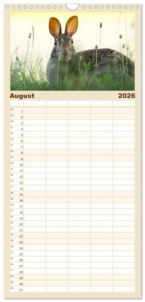 Produktbild: Familienplaner 2026 - Hasen - Die niedlichen Hoppeltiere. mit 5 Spalten (Wandkalender, 21 x 45 cm) CALVENDO