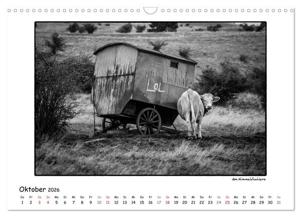 Produktbild: RH&Ouml;N SCHWARZ-WEISS (Wandkalender 2026 DIN A3 quer), CALVENDO Monatskalender