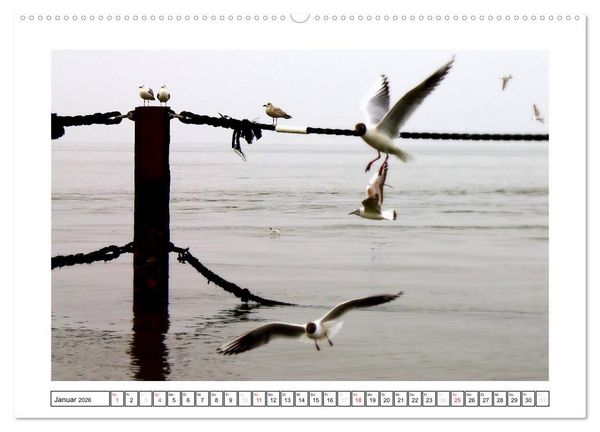 Produktbild: Nordseefeeling - Cuxhaven (hochwertiger Premium Wandkalender 2026 DIN A2 quer), Kunstdruck in Hochglanz