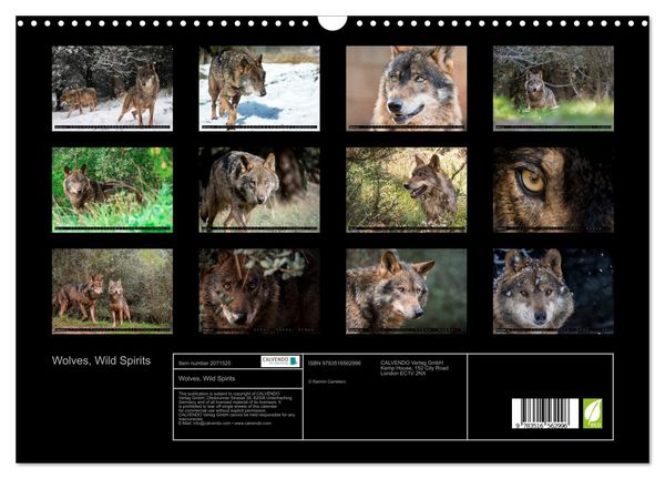 Produktbild: Wolves, Wild Spirits (Wall Calendar 2026 DIN A3 landscape), CALVENDO 12 Month Wall Calendar