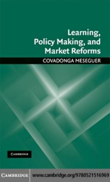 Produktbild: Learning, Policy Making, and Market Reforms
