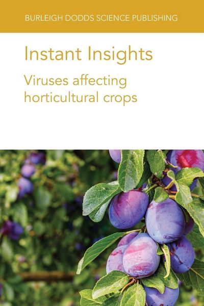 Produktbild: Instant Insights