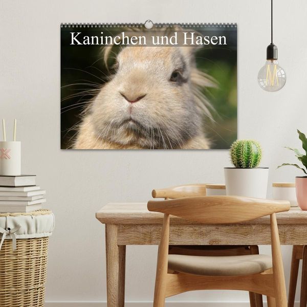 Produktbild: Kaninchen und Hasen (Wandkalender 2026 DIN A3 quer), CALVENDO Monatskalender