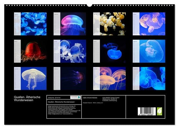 Produktbild: Quallen. &Auml;therische Wunderwesen (hochwertiger Premium Wandkalender 2026 DIN A2 quer), Kunstdruck in Hochglanz