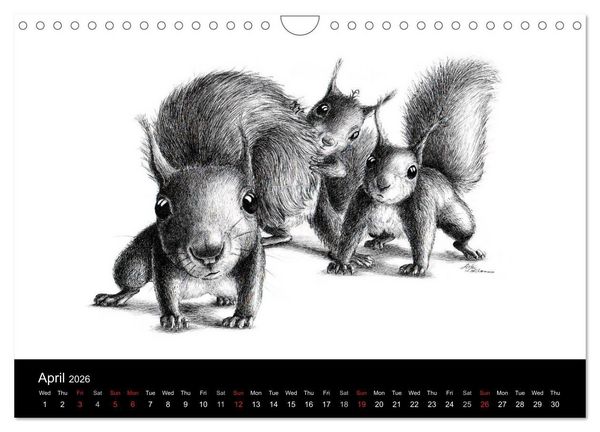 Produktbild: owls & friends 2026 (Wall Calendar 2026 DIN A4 landscape), CALVENDO 12 Month Wall Calendar