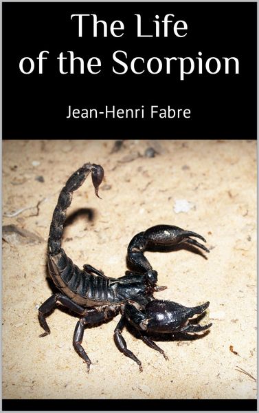 Produktbild: The Life of the Scorpion